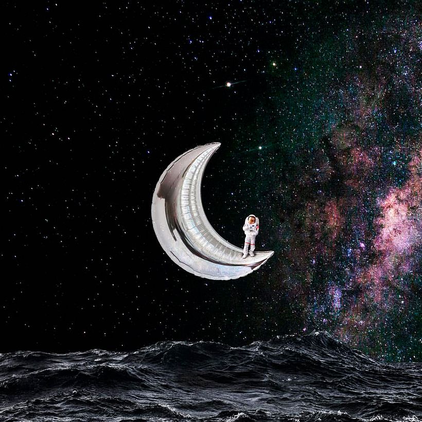 Karen Cantuq reinventa la naturaleza con sus collages fotorrealistas 7
