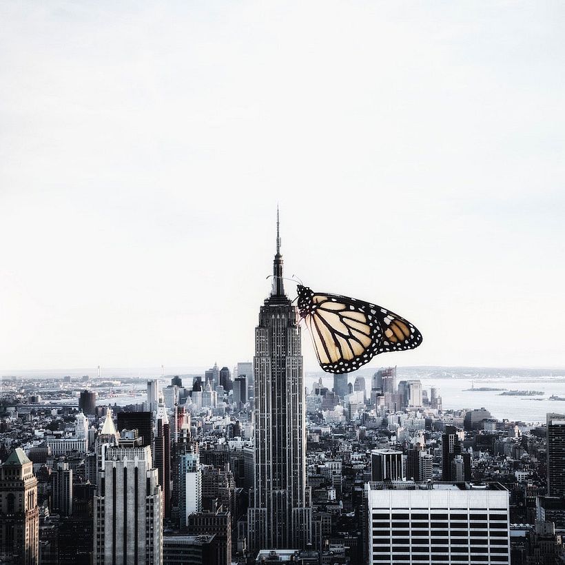 Karen Cantuq reinventa la naturaleza con sus collages fotorrealistas 11