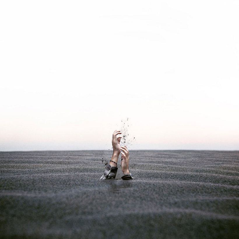 Karen Cantuq reinventa la naturaleza con sus collages fotorrealistas 12