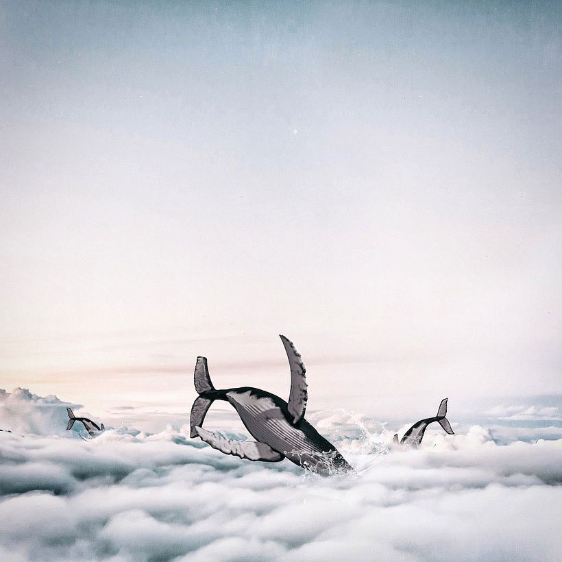 Karen Cantuq reinventa la naturaleza con sus collages fotorrealistas 15