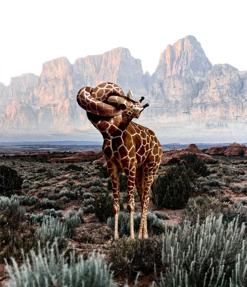 Karen Cantuq reinventa la naturaleza con sus collages fotorrealistas 16