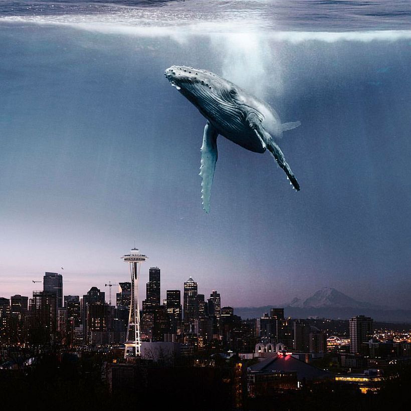 Karen Cantuq reinventa la naturaleza con sus collages fotorrealistas 18
