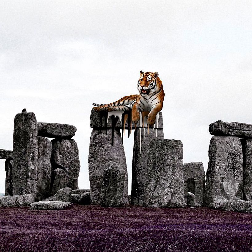 Karen Cantuq reinventa la naturaleza con sus collages fotorrealistas 19