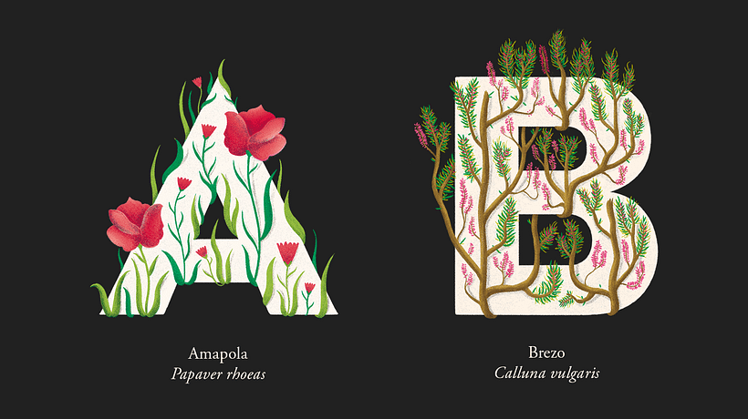 EL ABECEDARIO DE PLANTAS Y FLORES DE PIXELBOX 2