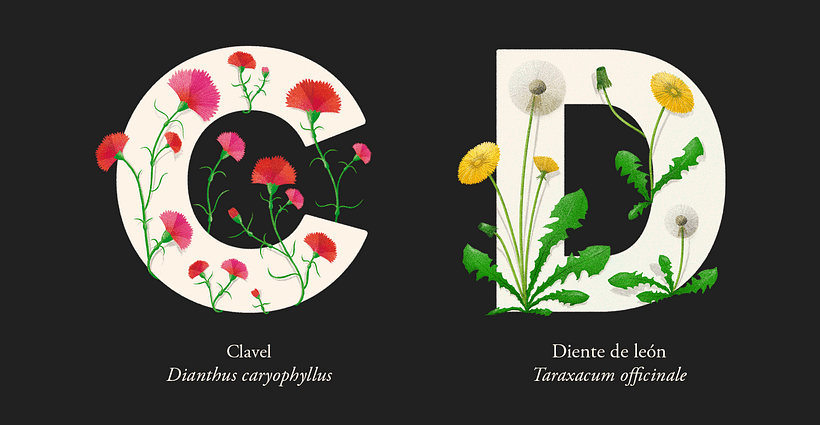 EL ABECEDARIO DE PLANTAS Y FLORES DE PIXELBOX 3