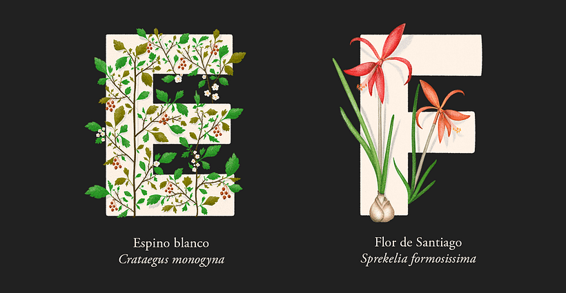 EL ABECEDARIO DE PLANTAS Y FLORES DE PIXELBOX 4
