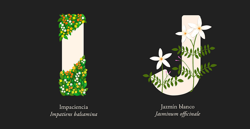 EL ABECEDARIO DE PLANTAS Y FLORES DE PIXELBOX 6