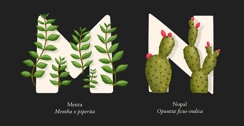 EL ABECEDARIO DE PLANTAS Y FLORES DE PIXELBOX 8