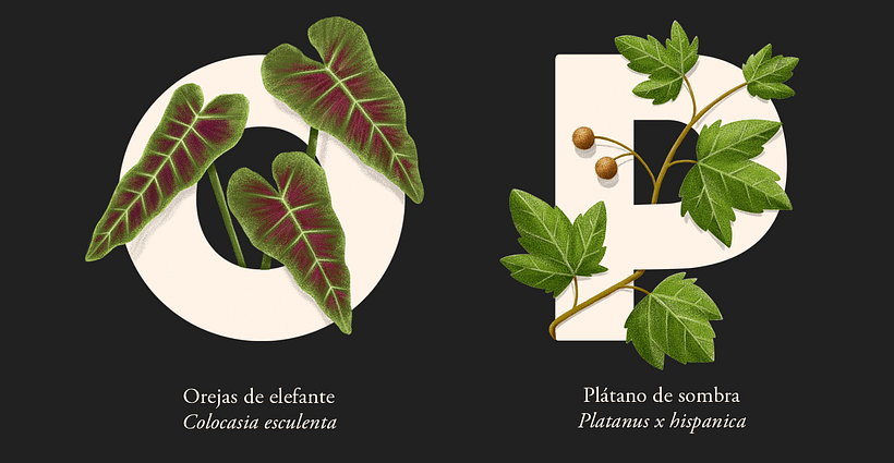 EL ABECEDARIO DE PLANTAS Y FLORES DE PIXELBOX 9