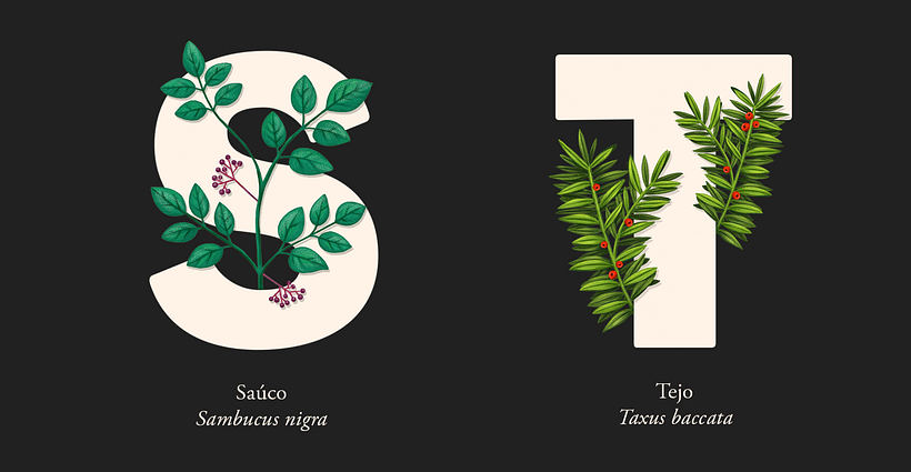 EL ABECEDARIO DE PLANTAS Y FLORES DE PIXELBOX 11