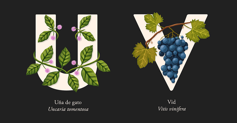 EL ABECEDARIO DE PLANTAS Y FLORES DE PIXELBOX 12