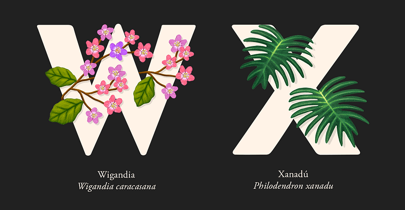 EL ABECEDARIO DE PLANTAS Y FLORES DE PIXELBOX 13