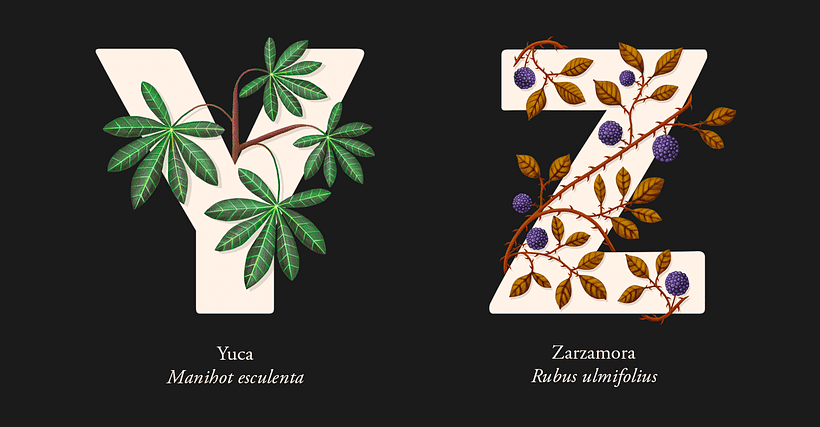 EL ABECEDARIO DE PLANTAS Y FLORES DE PIXELBOX 14