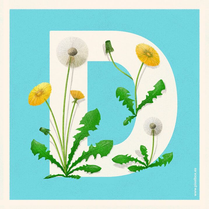 EL ABECEDARIO DE PLANTAS Y FLORES DE PIXELBOX 18