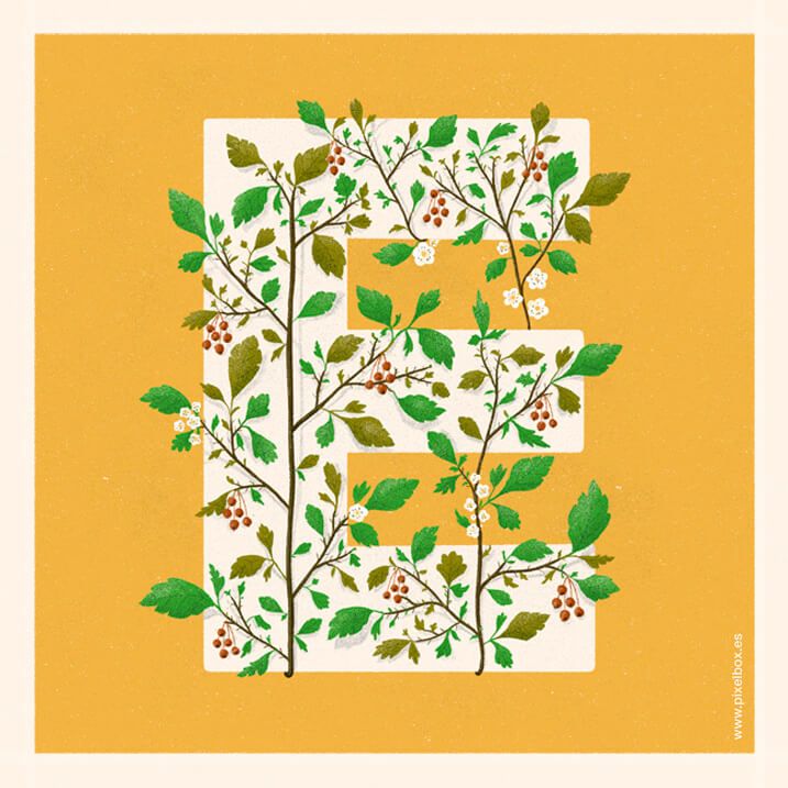 EL ABECEDARIO DE PLANTAS Y FLORES DE PIXELBOX 19