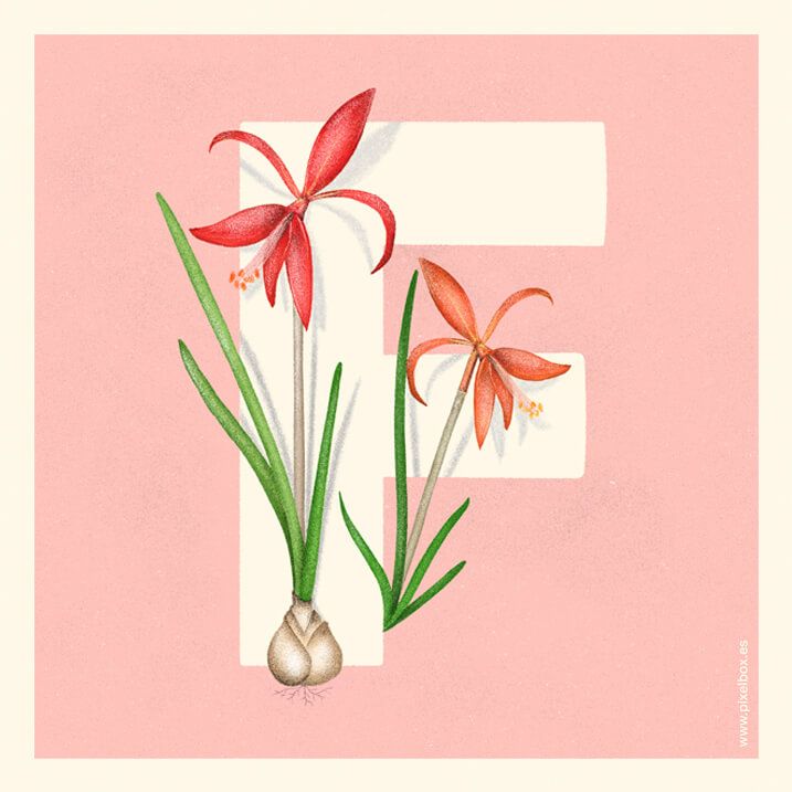 EL ABECEDARIO DE PLANTAS Y FLORES DE PIXELBOX 20