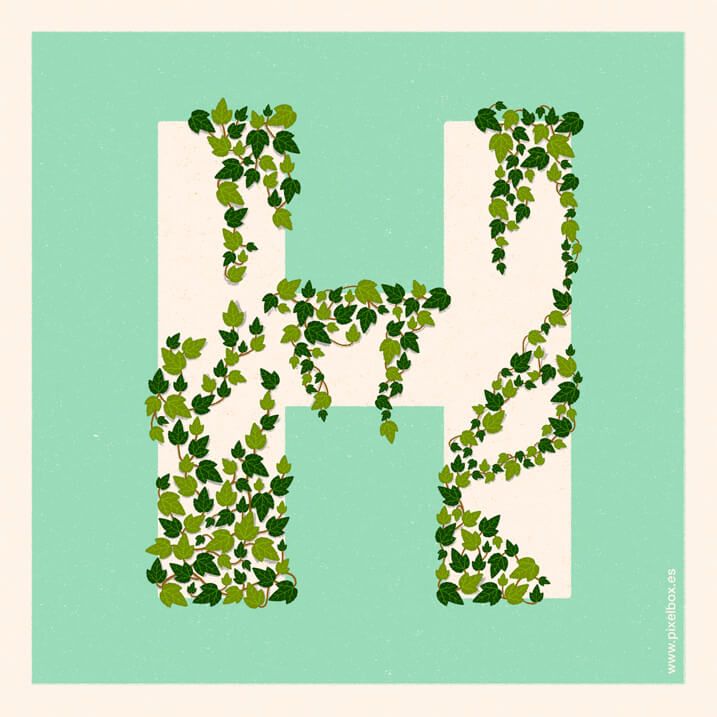 EL ABECEDARIO DE PLANTAS Y FLORES DE PIXELBOX 22