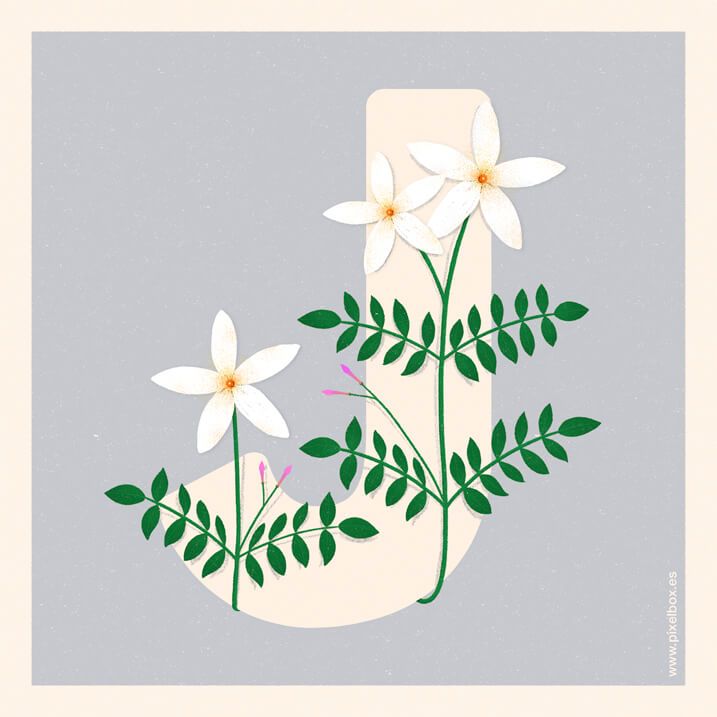 EL ABECEDARIO DE PLANTAS Y FLORES DE PIXELBOX 24