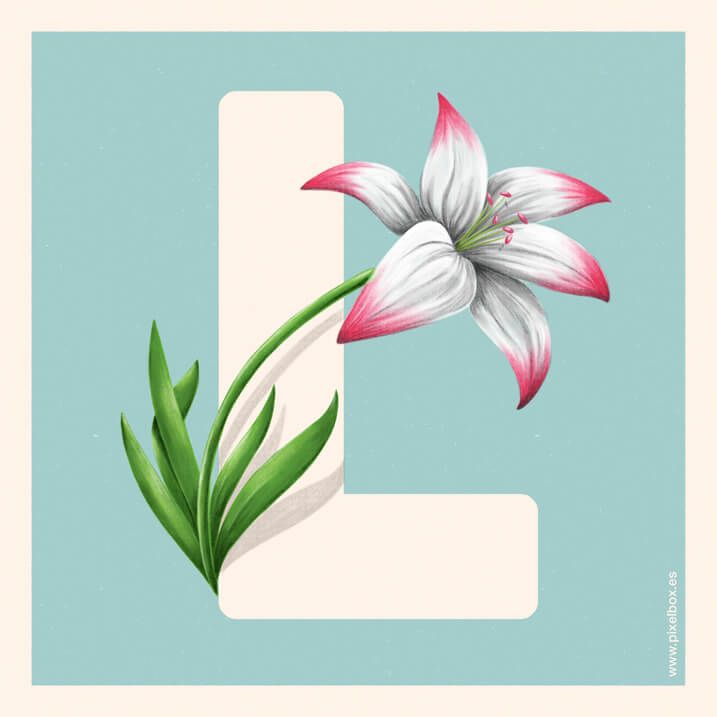 EL ABECEDARIO DE PLANTAS Y FLORES DE PIXELBOX 26