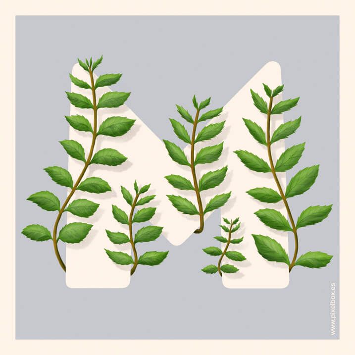 EL ABECEDARIO DE PLANTAS Y FLORES DE PIXELBOX 27
