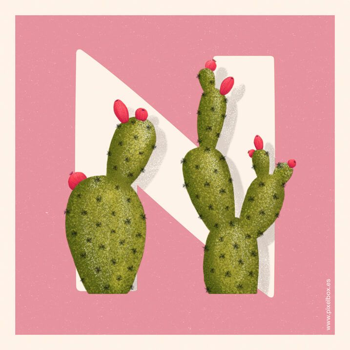 EL ABECEDARIO DE PLANTAS Y FLORES DE PIXELBOX 28
