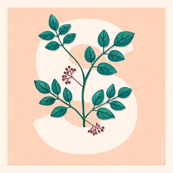 EL ABECEDARIO DE PLANTAS Y FLORES DE PIXELBOX 33