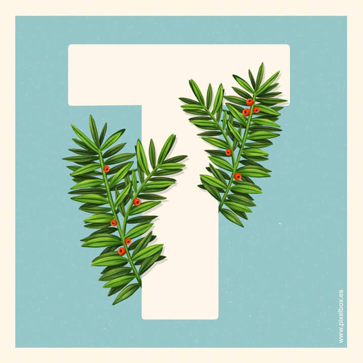 EL ABECEDARIO DE PLANTAS Y FLORES DE PIXELBOX 34