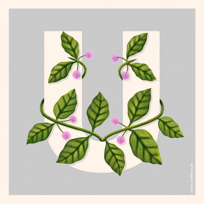 EL ABECEDARIO DE PLANTAS Y FLORES DE PIXELBOX 35