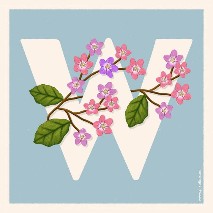 EL ABECEDARIO DE PLANTAS Y FLORES DE PIXELBOX 37