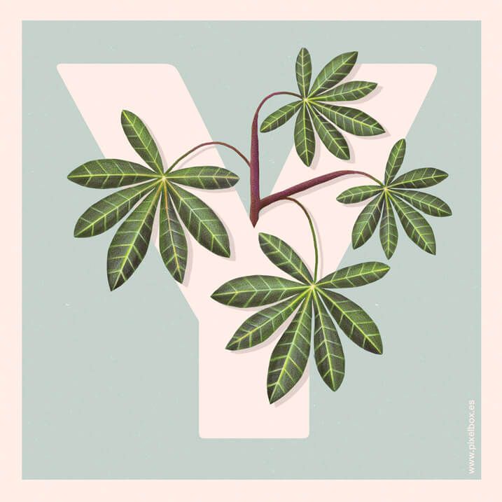 EL ABECEDARIO DE PLANTAS Y FLORES DE PIXELBOX 39