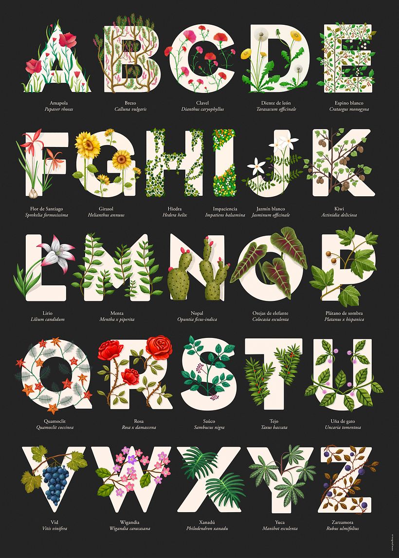 EL ABECEDARIO DE PLANTAS Y FLORES DE PIXELBOX 43
