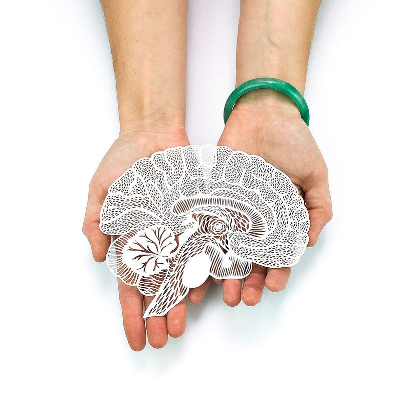 Los órganos vitales tallados en papel de Ali Harrison 1