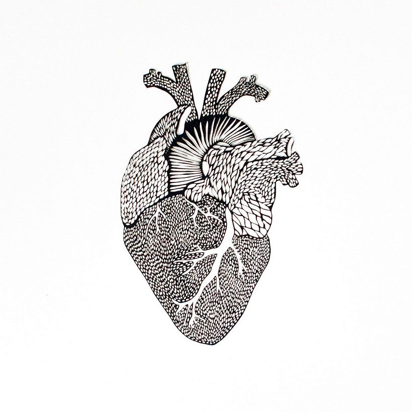 Los órganos vitales tallados en papel de Ali Harrison 3