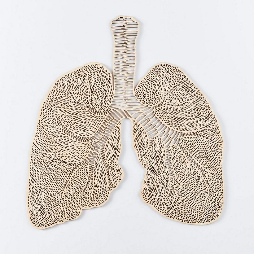 Los órganos vitales tallados en papel de Ali Harrison 5