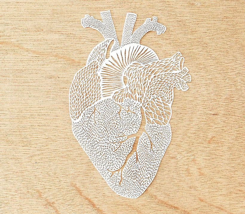 Los órganos vitales tallados en papel de Ali Harrison 6