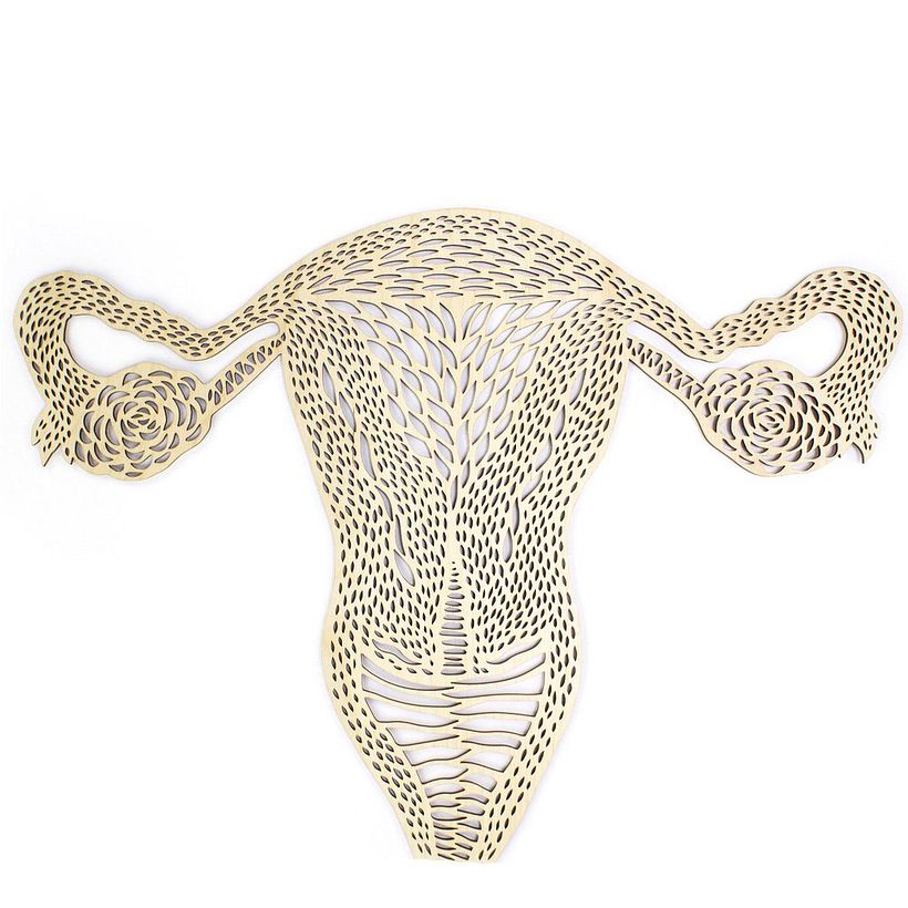 Los órganos vitales tallados en papel de Ali Harrison 7