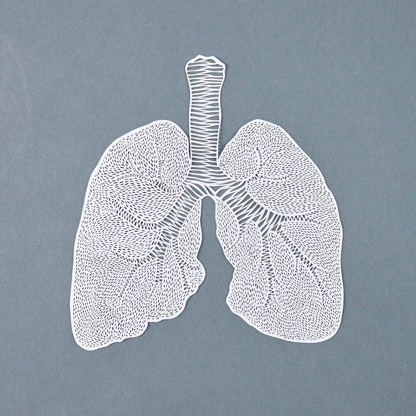 Los órganos vitales tallados en papel de Ali Harrison 9