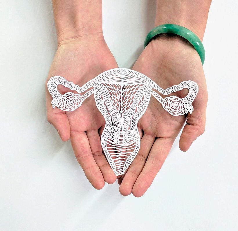 Los órganos vitales tallados en papel de Ali Harrison 10