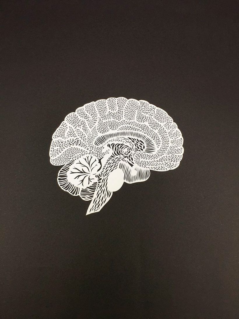 Los órganos vitales tallados en papel de Ali Harrison 11