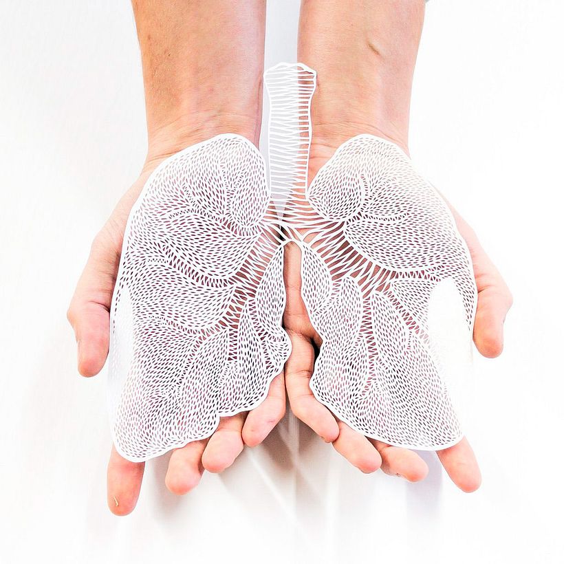 Los órganos vitales tallados en papel de Ali Harrison 12