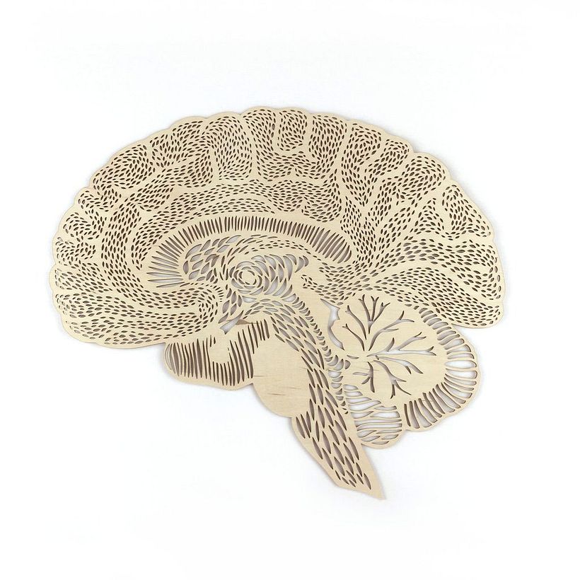 Los órganos vitales tallados en papel de Ali Harrison 14