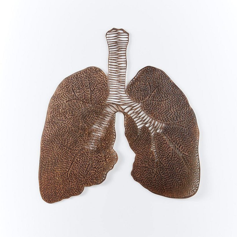 Los órganos vitales tallados en papel de Ali Harrison 15