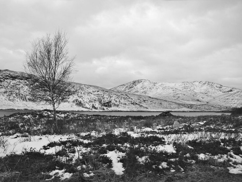 SCOTLAND 2