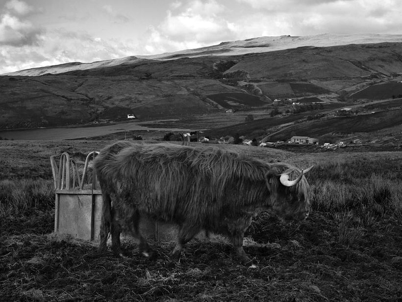 SCOTLAND 6