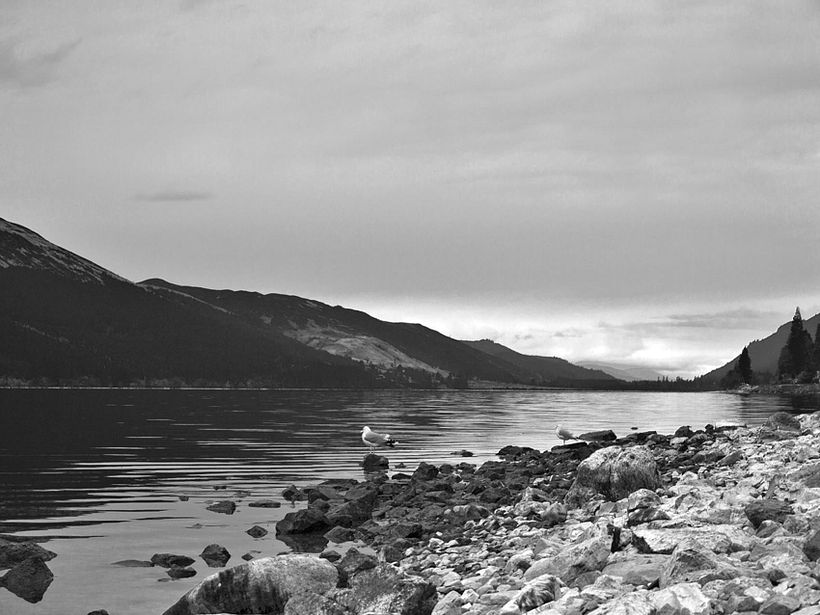 SCOTLAND 8