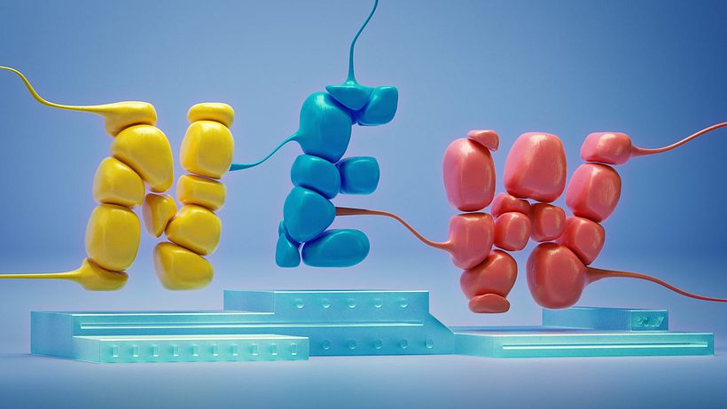 Los letterings y bodegones en 3D de Jose Checa 15