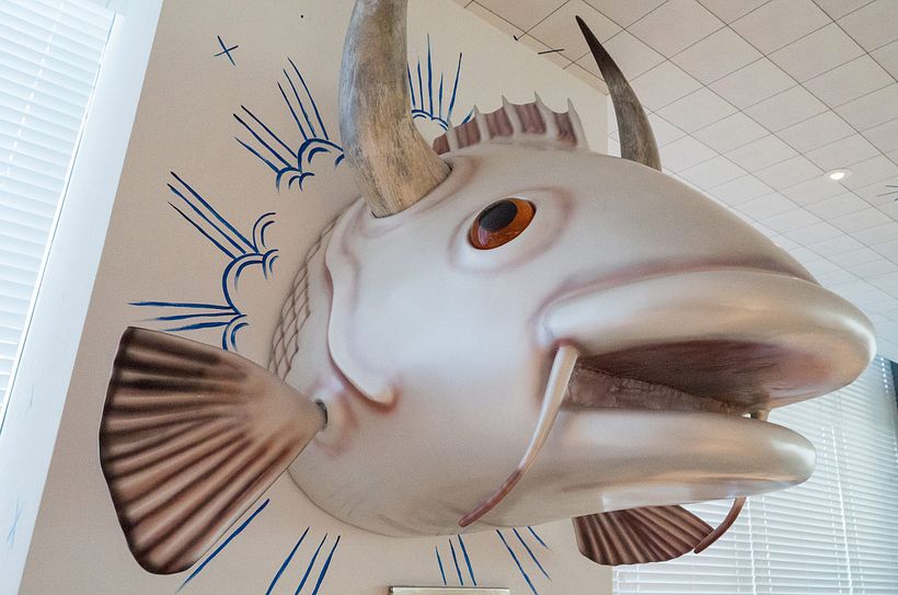 El ilustrador Sergio Mora se alía con Philippe Starck 16