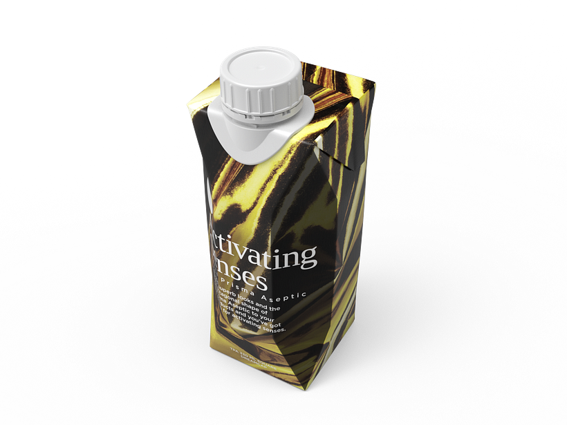 [Ayuda] Mock-up Tetrabrick Zumo  2