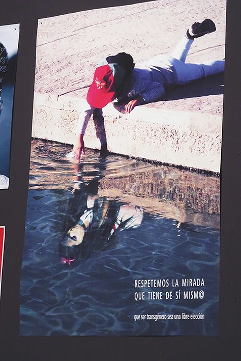 Transgénero | Exposición 1