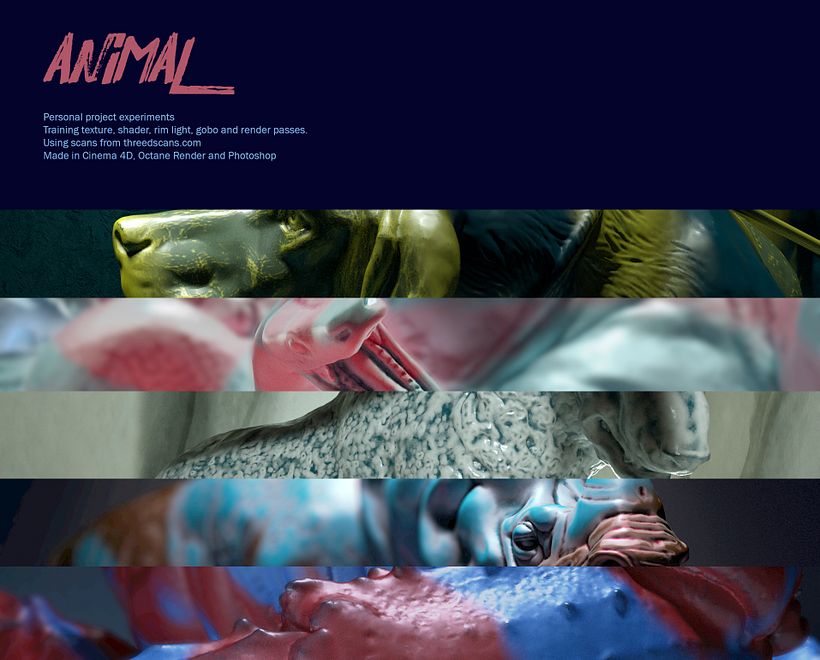 ANIMAL ATTITUDE - Design